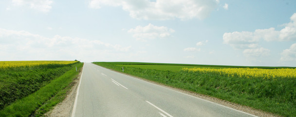 Road through fields of rape seed
