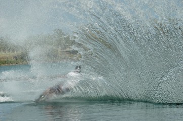 ski nautique gerbe