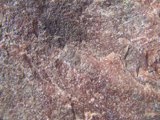 Pink granite