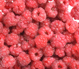 raspberries