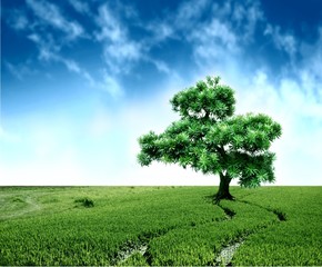 tree