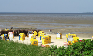 nordsee, ebbe, strand, deich