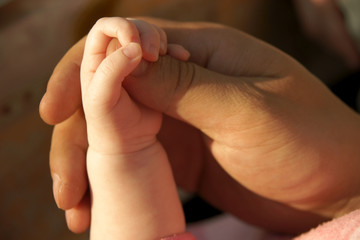 daughter's hand