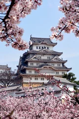 Fotobehang Japans kasteel © benoit sarasin