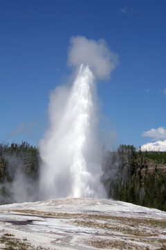 Old Faithful, Yellowstone National Park