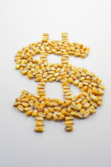 Cash Corn Crop II