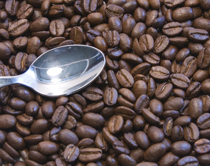 Coffee Beans and Spoon