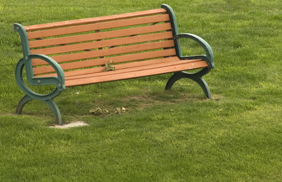 Park Bench