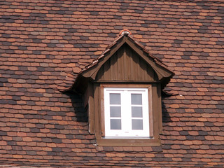 dachgaube