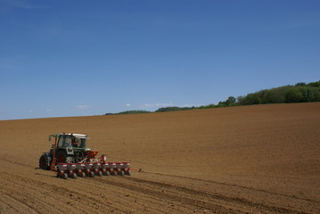 Fototapeta premium Agriculture