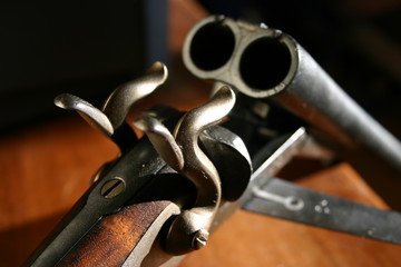 fusil &agrave; chien 3