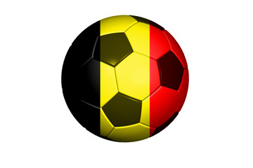 Belgien Fussball WM 2010