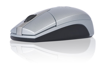 souris