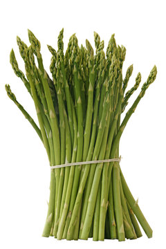 Asparagus - Gr&uuml;ne Spargel