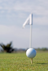 Golf ball in tall green grass set against blue sky