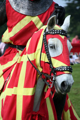 Knights horse