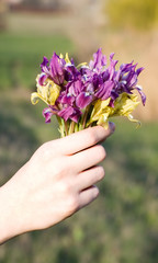 Bouquet over field background