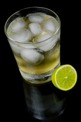 Lemon, Lime & Bitters