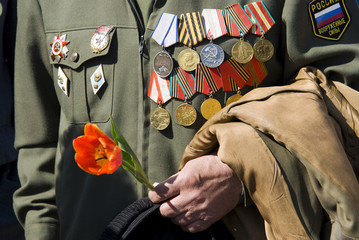 hand of war veteran with tulip
