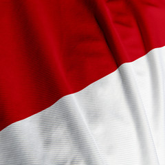 Monaco Flag Closeup