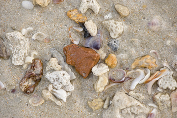 sea sand and stones