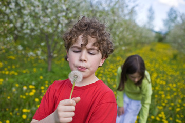 Fototapeta premium Boy blowing dandelion 