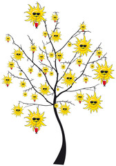 albero sole