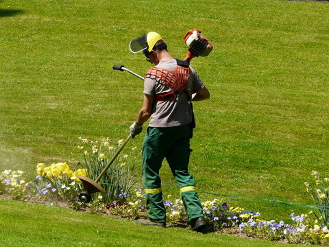 jardinier maniant une tondeuse &agrave; essence