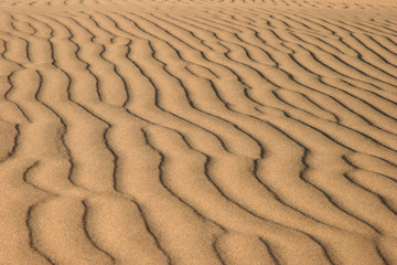 Sand dunes