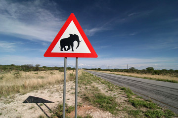 Elephants! Road sign