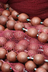 filet,pêche,bretagne