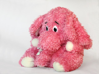 Pink Elephant