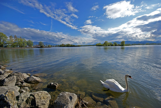 Fr&uuml;hlingstag am Bodensee