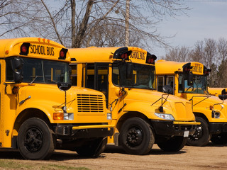 School Buses