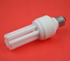 bulb