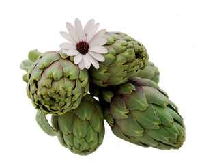 Fototapeta premium Artichauts Printanier