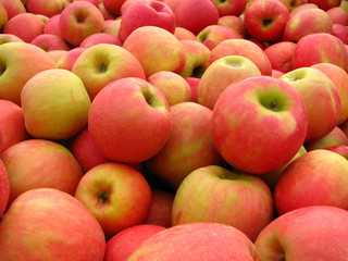 Gala Apples