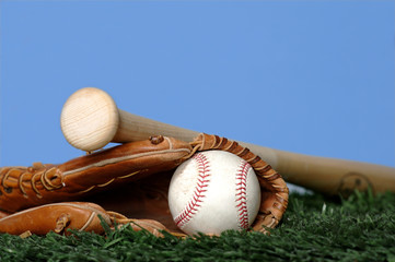 Baseball and Bat on grass