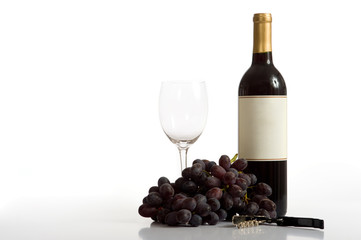 Fototapeta premium Fruit of the Vine