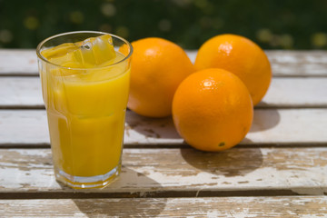 Freshly Squeezed Orange Juice