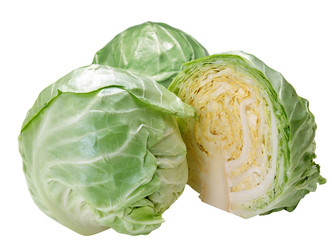 Fototapeta premium Cabbage