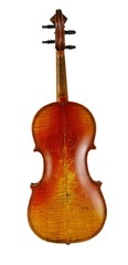 The violin