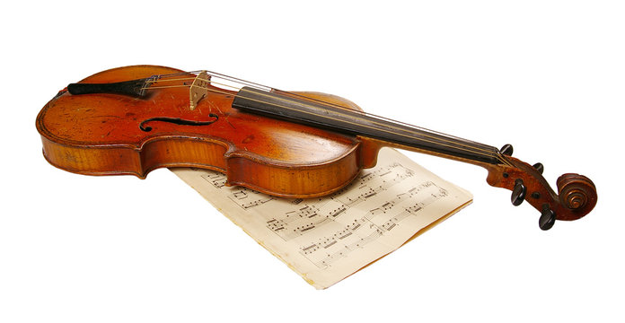 The violin