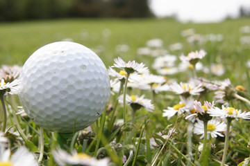 golf ball in flowers