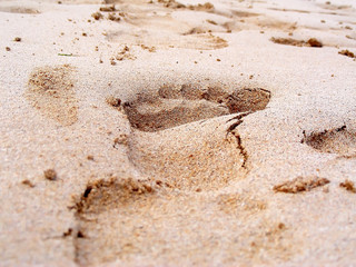 Footprint