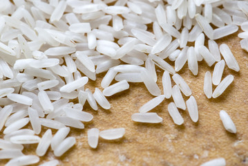 Rice