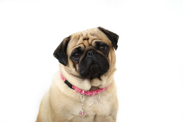 Obraz premium Brown Eyed Girl