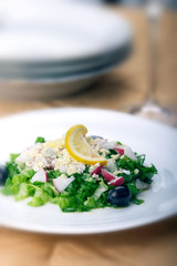 Greek salad with fresh lettuce, radish,feta,olives and lemon