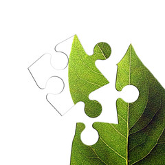 green leaf jigsaw
