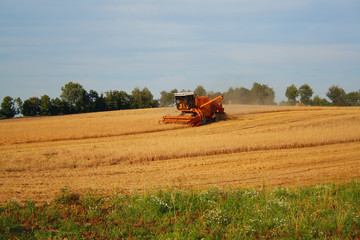 combine harvester